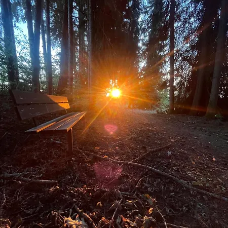Waldgarten Marienau