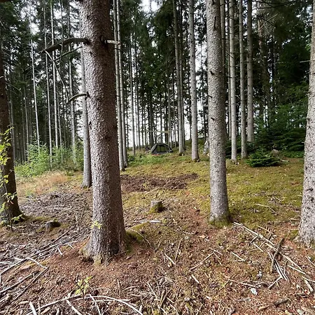Waldgarten Marienau Pensión