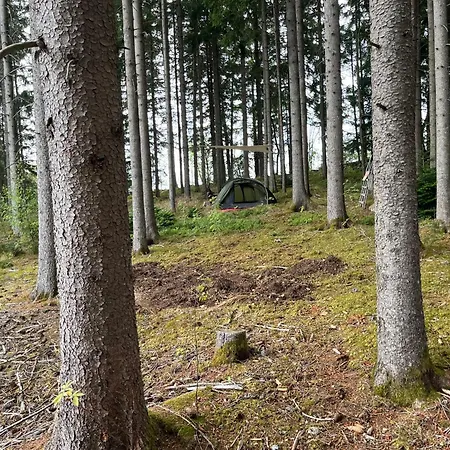 Waldgarten Marienau
